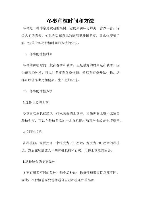 冬枣种植时间和方法
