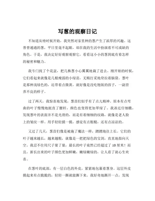 写葱的观察日记