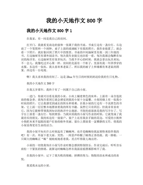 我的小天地作文800字