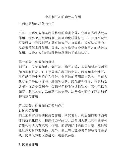 中药刺五加的功效与作用