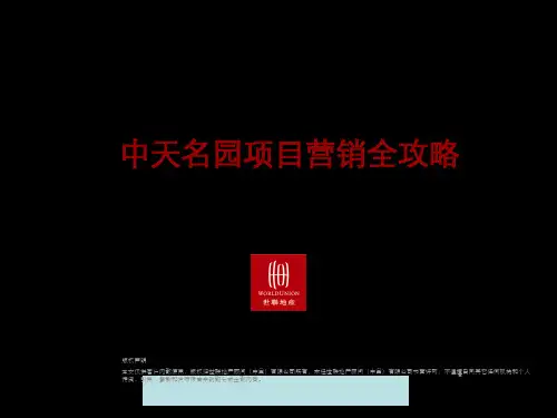 常州某代理房地产项目营销战略