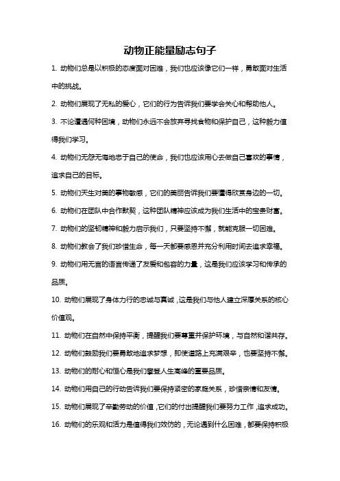 动物正能量励志句子