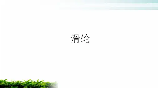 浙教版科学中考复习：滑轮 (共44张PPT)【优秀课件】