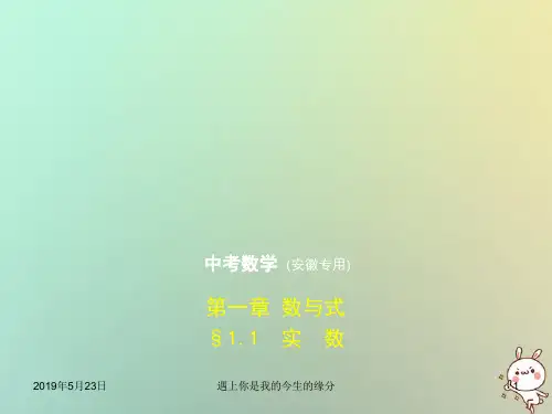 2019年中考数学复习第一章数与式1.1实数试卷部分7