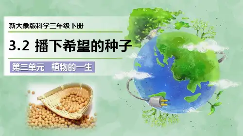 2024新大象版科学三年级下册第三单元 植物的一生《播下希望的种子》优质课件