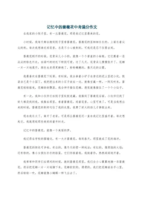 记忆中的蔷薇花中考满分作文