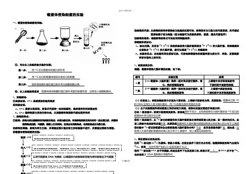 人教版教学素材噬菌体侵染细菌的实验