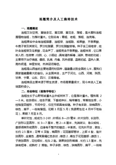连翘简介及人工栽培技术