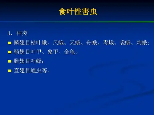 4食叶性害虫