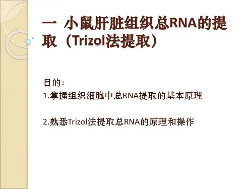 小鼠肝脏组织总RNA的提取及RT-PCR