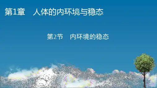 新教材高中生物人教版选择性必修1课件-第1章-第2节-内环境的稳态