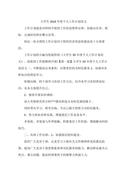 大学生2016年度个人工作计划范文