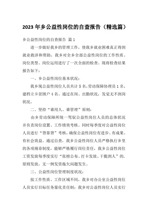 2023年乡公益性岗位的自查报告(精选篇)
