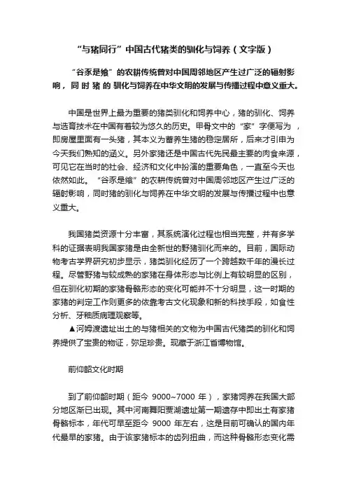 “与猪同行”中国古代猪类的驯化与饲养（文字版）