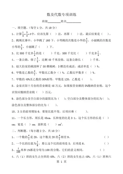 北师大版六年级上册复习数与代数专项训练
