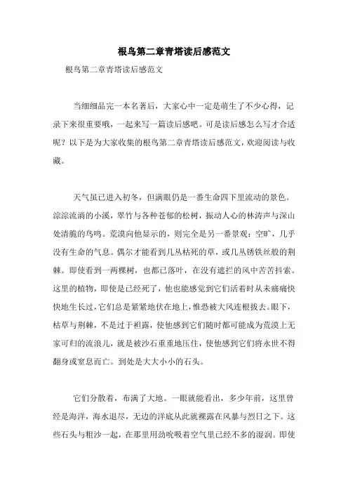 根鸟第二章青塔读后感范文