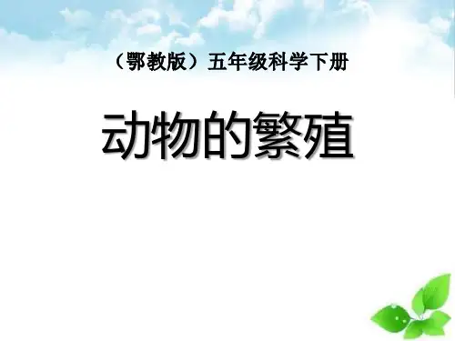 《动物的繁殖》PPT课件(自制)