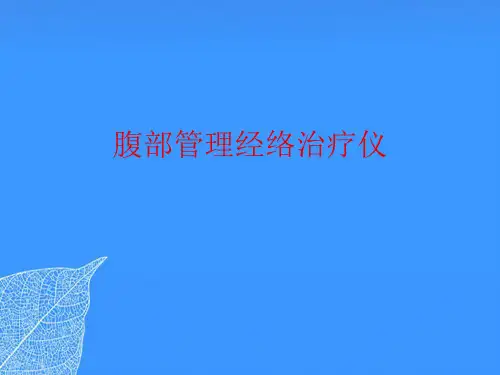 【正式版】腹部管理经络治疗仪PPT文档