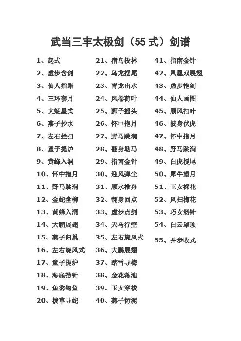 武当三丰太极剑55式剑谱
