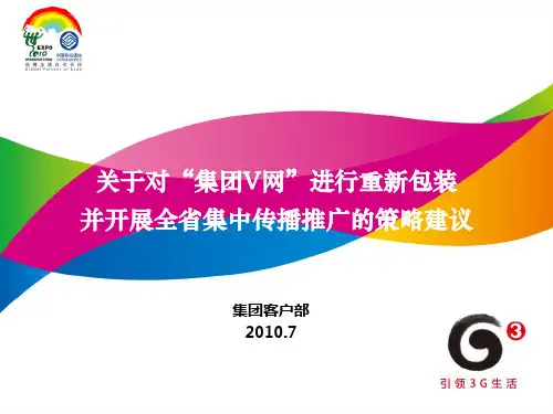 集团V网推广方案