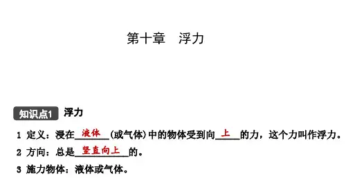 人教版物理中考第一轮复习课件   浮力
