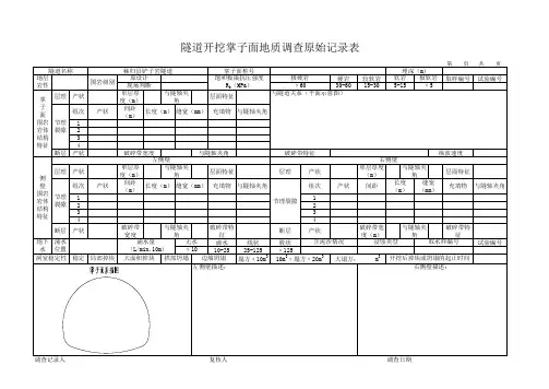掌子面记录表