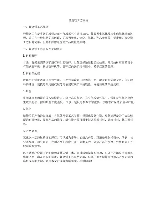 轻烧镁工艺流程