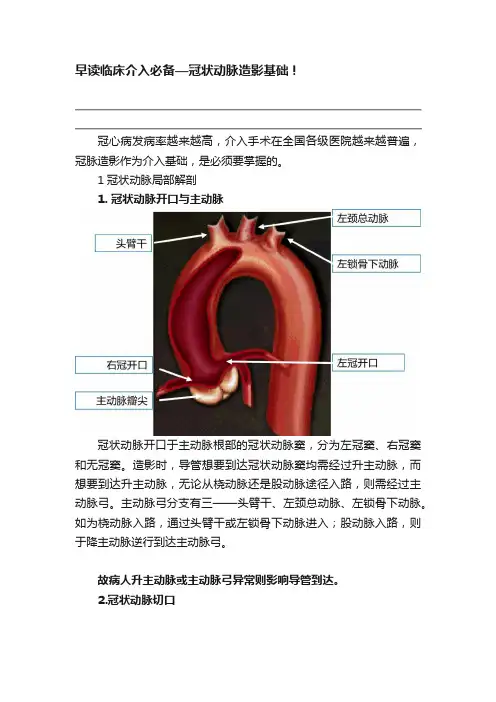 早读临床介入必备—冠状动脉造影基础！