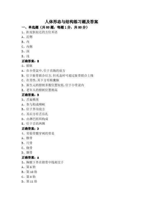 人体形态与结构练习题及答案