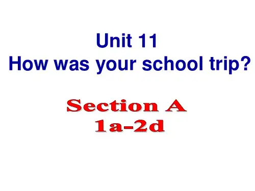 Unit11SectionA1a-2d课件人教版七年级英语下册