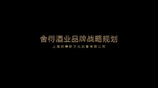 2018舍得酒业品牌战略规划策划方案