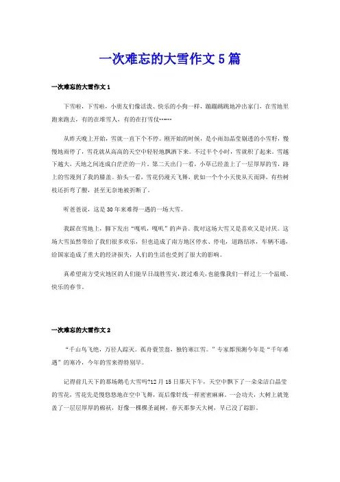 一次难忘的大雪作文5篇
