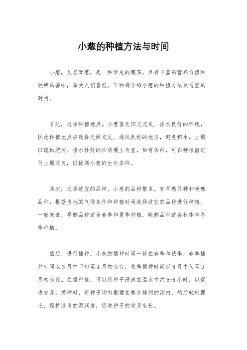 小葱的种植方法与时间