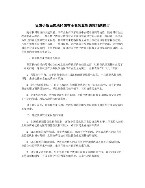 我国少数民族地区国有企业预算软约束问题探讨