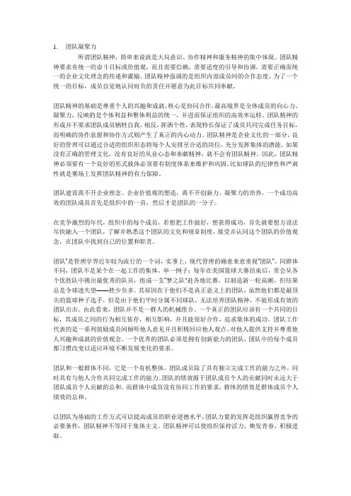 团队凝聚力的涵义