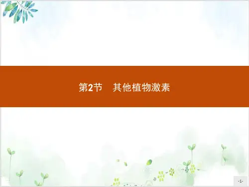 [人教版]《其他植物激素》优质课件1