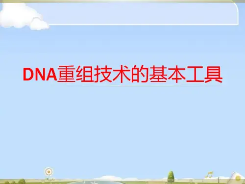 人教版高中生物选修三专题一第1节 DNA重组技术的基本工具  课件(共35张PPT)