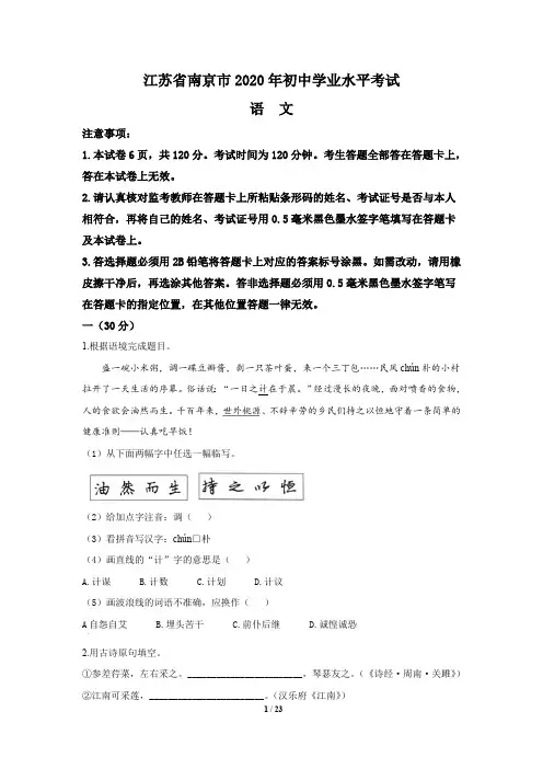 江苏省南京市2020年中考语文试题(含答案与解析)