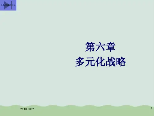 多元化战略概述PPT(共21页)