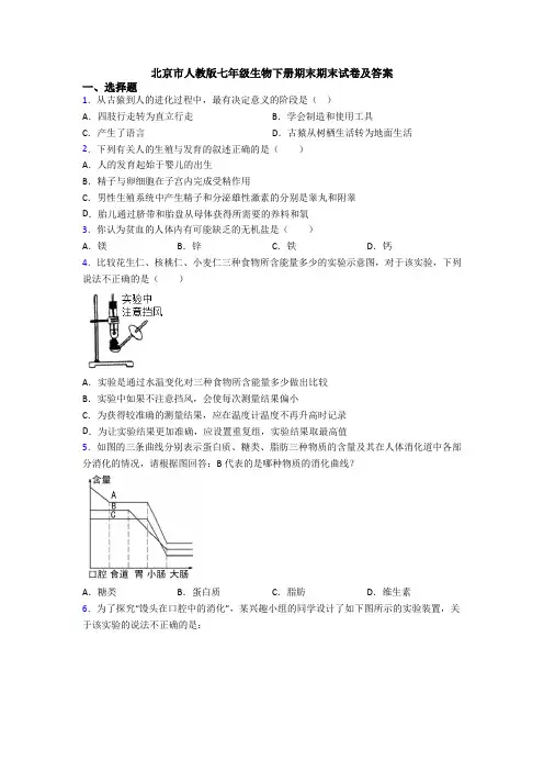 北京市人教版七年级生物下册期末期末试卷及答案