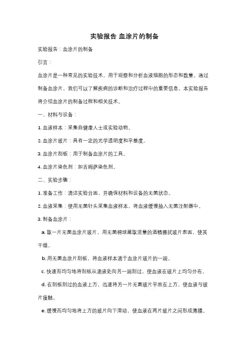 实验报告 血涂片的制备
