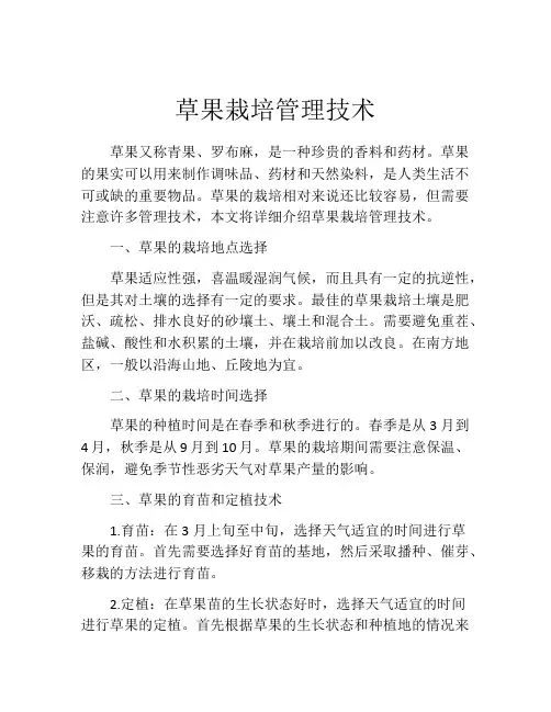草果栽培管理技术