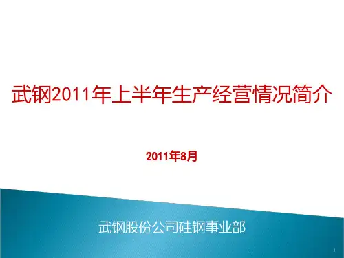 武钢上半硅钢生产经营情况简介PPT课件