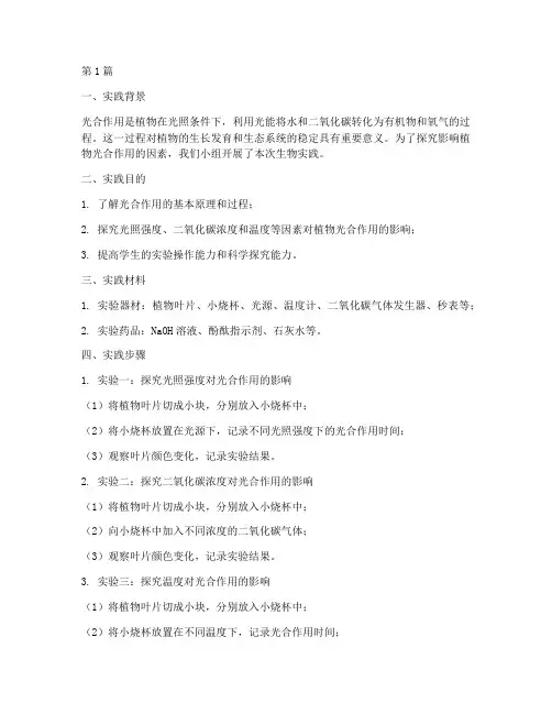 中学生生物实践报告(2篇)