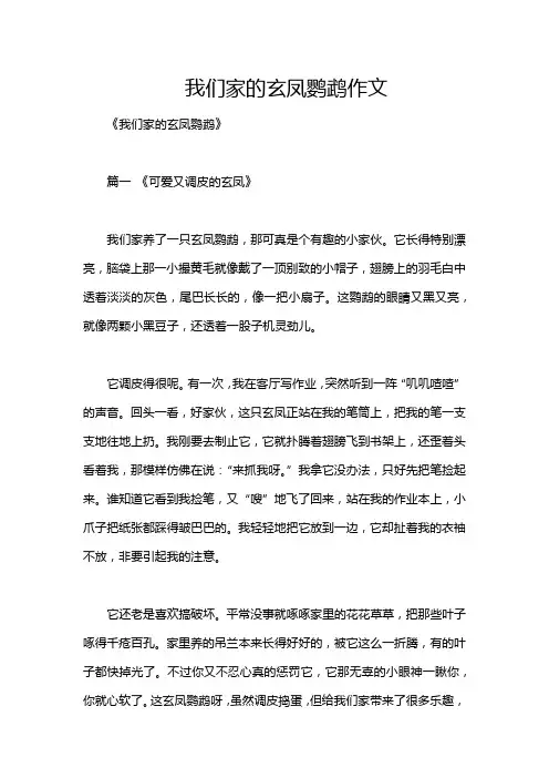 我们家的玄凤鹦鹉作文