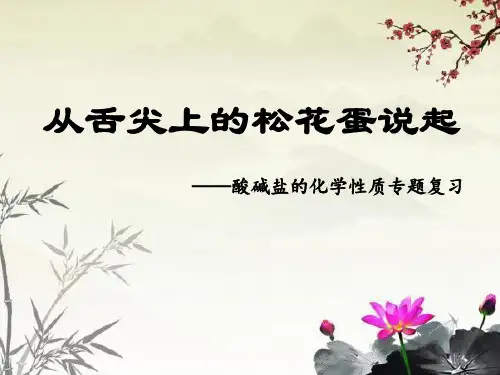 人教版(五四学制)化学从舌尖上的松花蛋说起—酸碱盐的化学性质专题复习  课件 