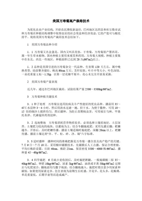 美国万寿菊高产栽培技术