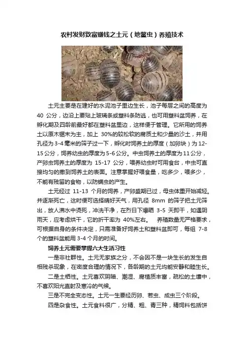 农村发财致富赚钱之土元（地鳖虫）养殖技术
