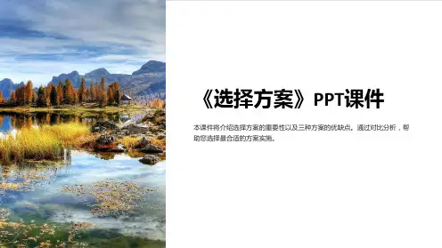 《选择方案》课件