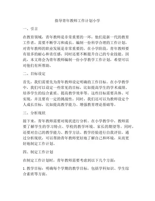 指导青年教师工作计划小学